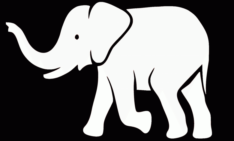 تئوری فیل سفید |‌ White Elephant Theory