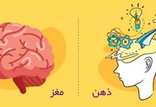 سایت و کانال مهارتهای روانی: ذهن آشفته یا مغز واکنشی؟ تفاوت را بشناس